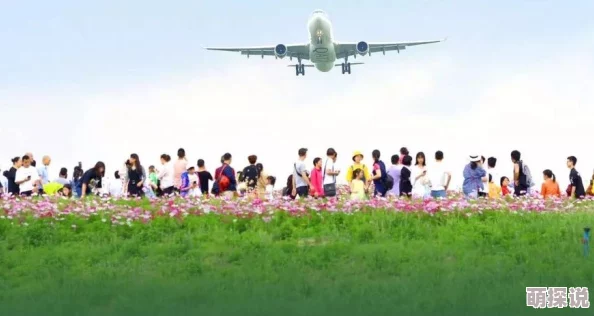 农村野战videossex积极向上追求美好生活让我们共同努力创造和谐社会