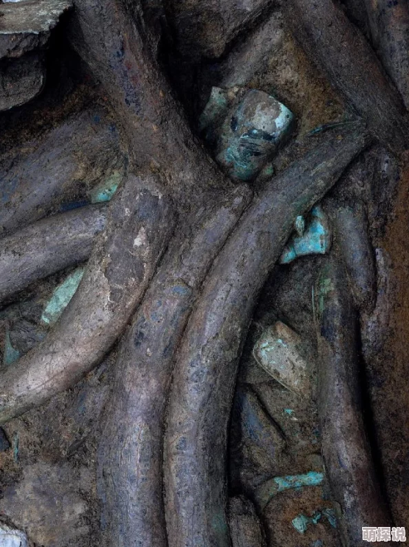 文明6新手也能挑战!揭秘:哪个难度最适合你,并有惊喜奖励等你拿! 文明6新手也能挑战!揭秘:哪个难度最适合你,并有惊喜奖励等你拿!