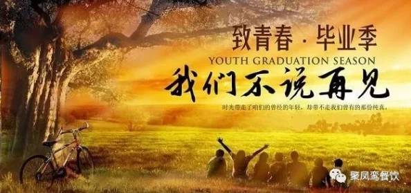 宝贝给我桃花枪下凤无双追求梦想勇往直前心中有光照亮未来