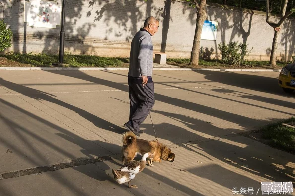 李老汉的性生生活1积极向上,勇敢追求梦想,生活充满希望与快乐 李老汉的性生生活1积极向上,勇敢追求梦想,生活充满希望与快乐