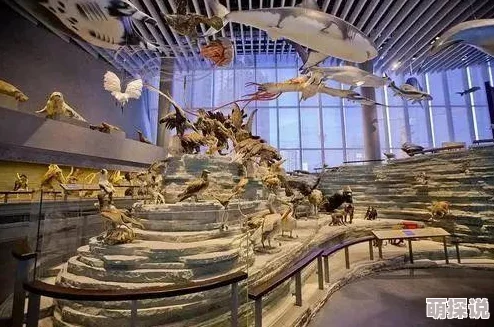 《王者荣耀》九周年庆典大放送：惊喜解锁，限时免费领取珍稀史诗皮肤！