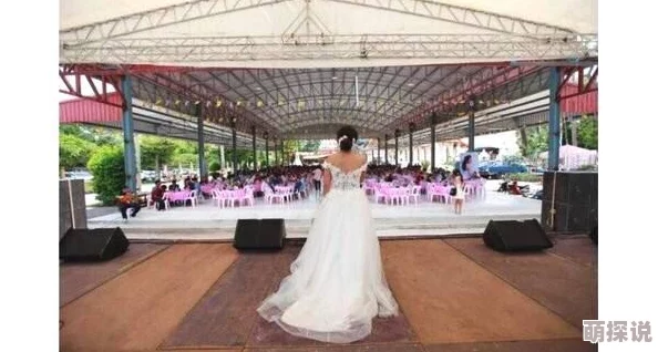 我的新郎逃婚了全文免费阅读闯天下勇敢追梦心怀希望创造美好未来