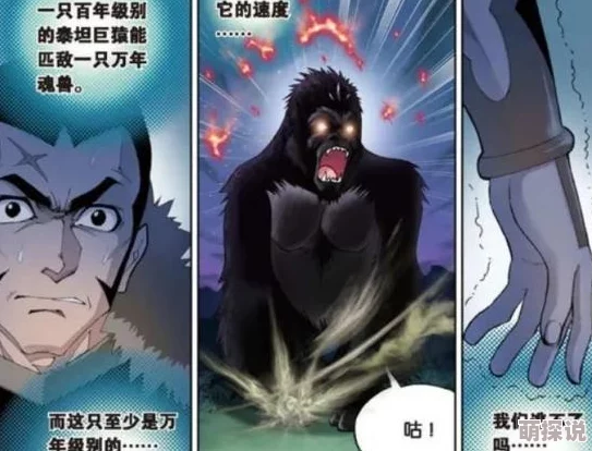 怪物猎人防具选择指南：惊喜消息！全新顶级防御装备即将登场，助你狩猎无忧！