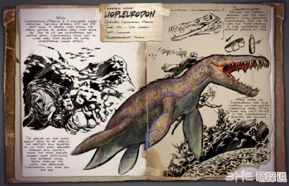 方舟生存进化肉食龙选哪个?惊喜消息:全新顶级捕食者震撼登场,助你称霸史前世界! 方舟生存进化肉食龙选哪个?惊喜消息:全新顶级捕食者震撼登场,助你称霸史前世界!