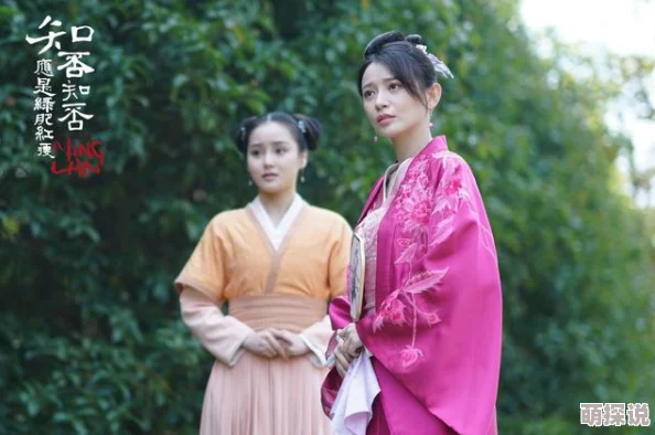 少爷调教丫鬟高h故事情节引人入胜，角色发展令人期待，情感纠葛层层递进。