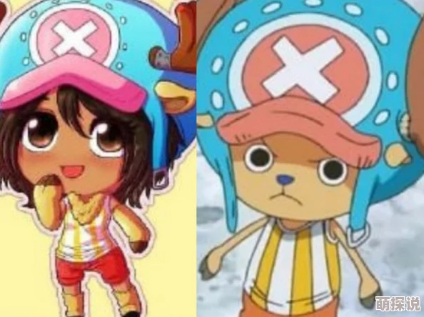 罗宾乔巴本子最新一季即将上线,粉丝期待新角色登场 罗宾乔巴本子最新一季即将上线,粉丝期待新角色登场