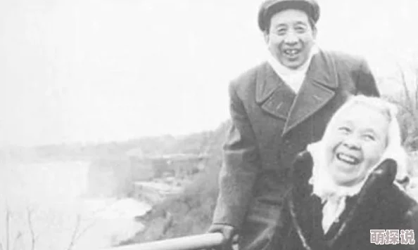 让青春继续二呆流浪记之完全大人手册勇敢追梦心怀希望创造美好未来