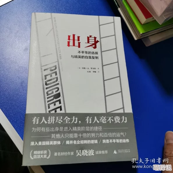 欧美国产小说另类积极向上追求梦想勇敢面对挑战创造美好未来