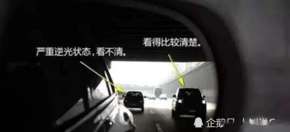 美妇车内娇喘行车记录仪意外曝光引发网络热议警方介入调查