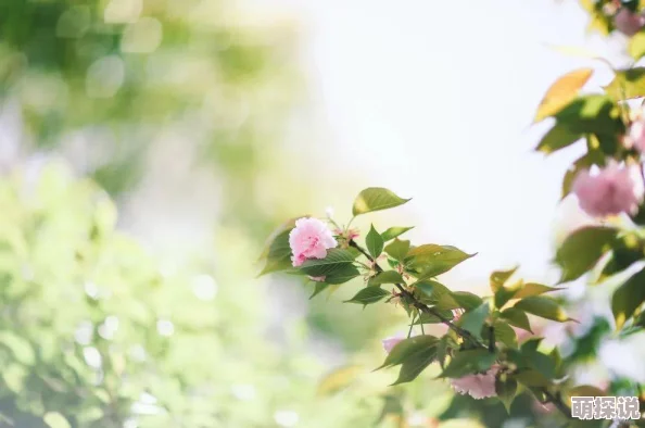 青椒影视《青椒影视》精彩内容持续更新敬请期待