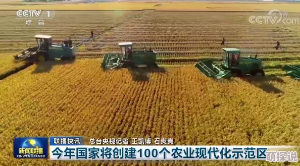 海岛里的超级帝国发展迅速科技突破农业创新