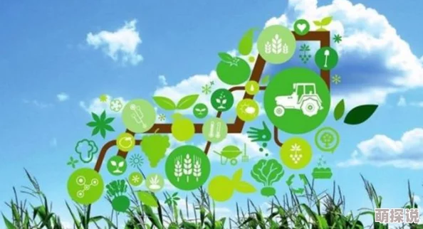 海岛里的超级帝国发展迅速科技突破农业创新