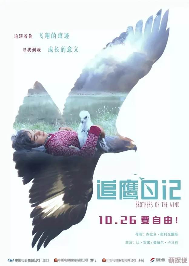 初撮五十路山鹰之歌勇敢追梦展翅高飞迎接美好未来