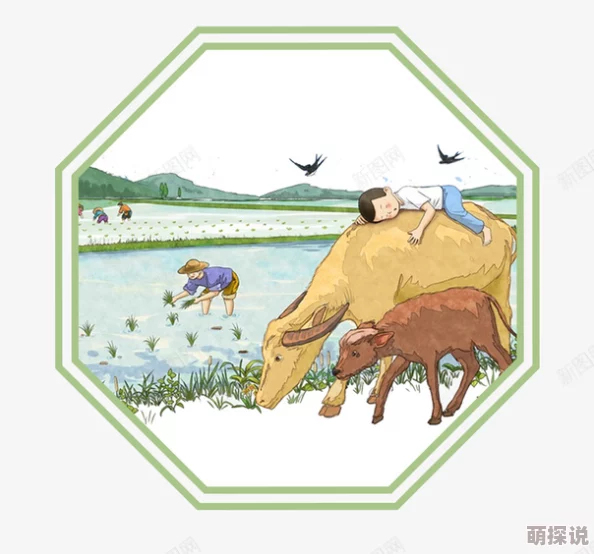 情侣插秧姿势参考绘画姿势素材更新补充多种不同视角的互动姿态