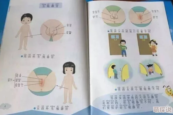 女性私密部位扒开的视频资源更新至第5集高清完整版已上线