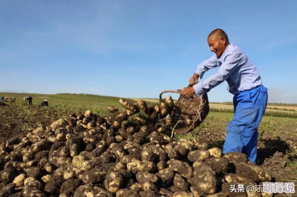 土豆新书《土豆的奋斗史》土豆克服重重困难终于出版了