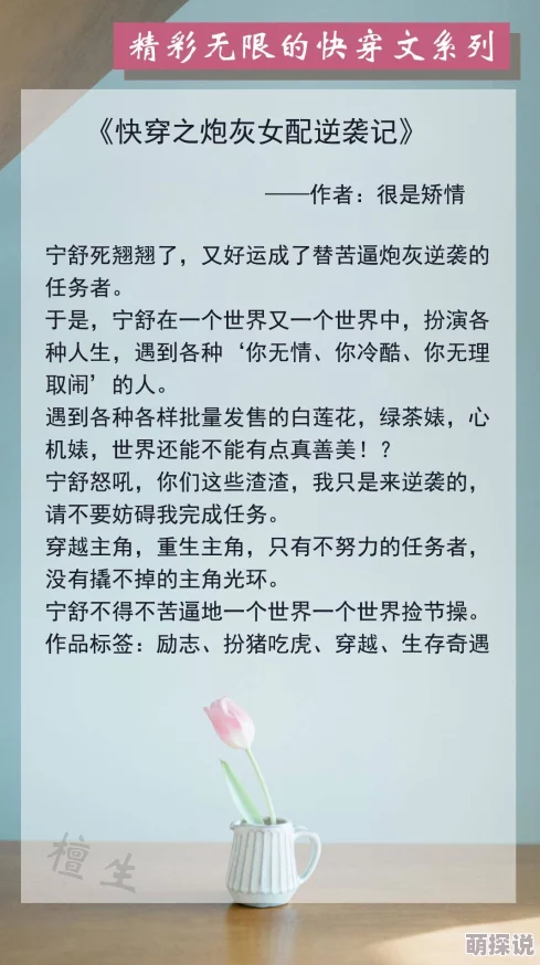 快穿之小三丈夫因素2共同成长携手前行创造美好未来