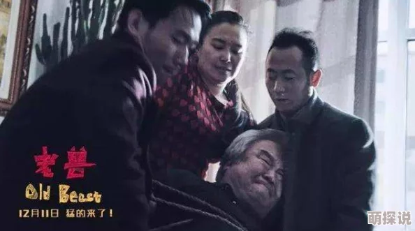 三年片在线观看电影国语高清完整版现已上线