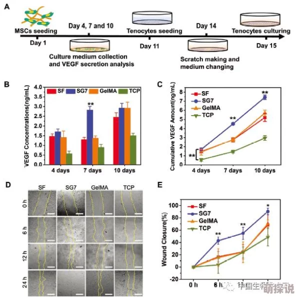 啊啊啊啊啊嗯科学家发现新型可再生能源技术有望改变未来能源格局