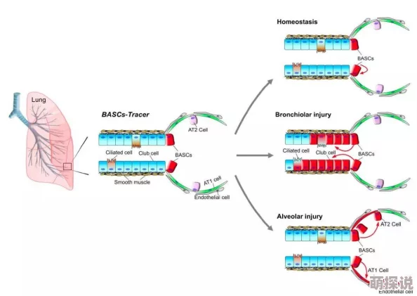 啊啊啊啊啊嗯科学家发现新型可再生能源技术有望改变未来能源格局