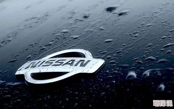 《暗喻幻想 ReFantazio》王国拯救者成就全攻略，揭秘隐藏惊喜：解锁终极成就的秘诀！