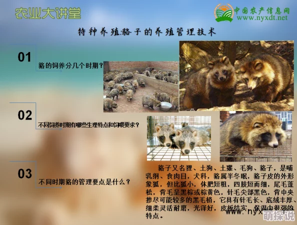 成人交配视频不当交易诚信为本，公平交易，共同创造美好未来