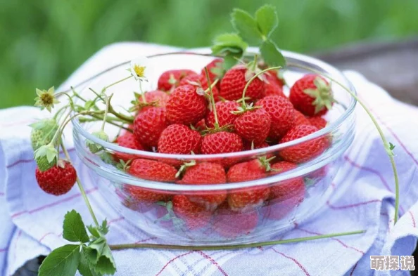 妈咪你的小草莓谁种的宝贝当然是妈咪种的呀现在小草莓已经熟透了可以摘下来吃了