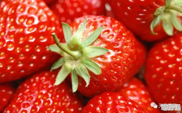 妈咪你的小草莓谁种的宝贝当然是妈咪种的呀现在小草莓已经熟透了可以摘下来吃了