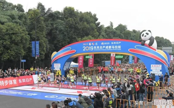 DNF惊喜竞速大揭秘：哪个职业将成为新版本中的黑马夺冠热门？