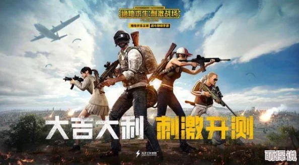 2024精选耐玩吃鸡单机手游大合集，惊喜不断！无需网络也能畅享的顶尖吃鸡游戏推荐