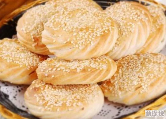 你却爱着一个烧饼小说完整版阅读已更新至100章大结局