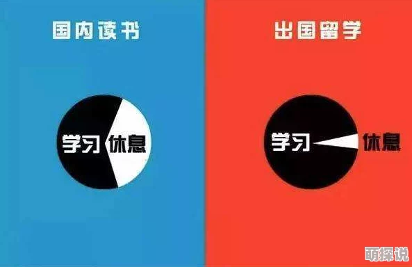 红桃视频内容低俗质量差浪费时间欺骗用户毫无价值