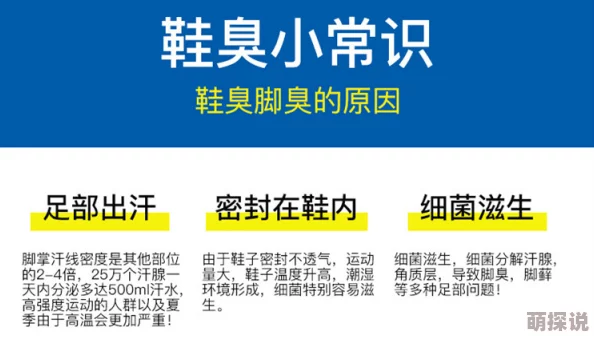 日本の脚足网站据传该网站服务器曾意外崩溃导致大量用户数据丢失引发网友热议