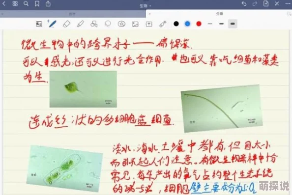 赤板栗千金肉据说配方源自一位隐退名厨私藏笔记意外流出如今已成网红爆款