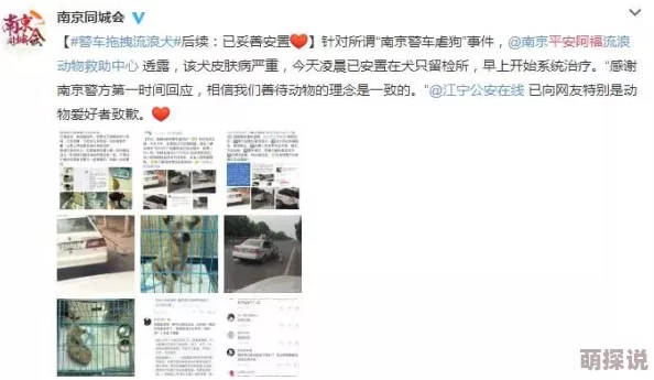 跪下爬过来像条狗一样原视频发布者已被曝光IP地址和个人信息将面临法律追责