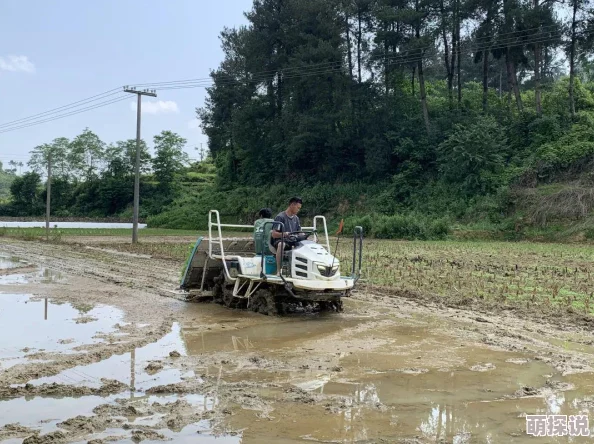 变身吧主公：2024热门战斗站位与出手顺序全解析