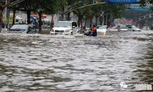 花重锦官城连日暴雨引发内涝多处街道积水严重