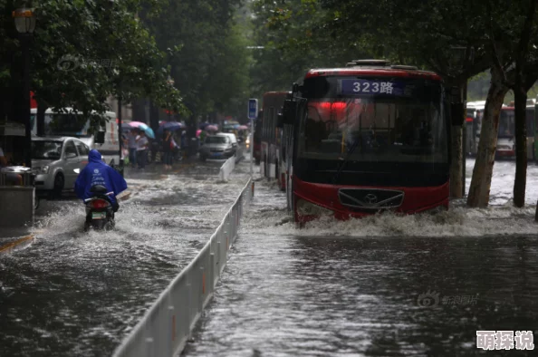 花重锦官城连日暴雨引发内涝多处街道积水严重