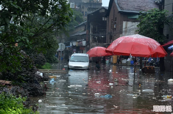 花重锦官城连日暴雨引发内涝多处街道积水严重