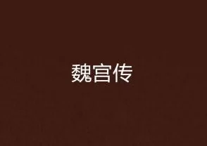 魏若穿越小说免费阅读全文无弹窗情节老套文笔幼稚更新缓慢错字连篇