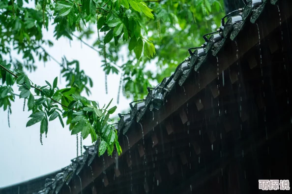 恍若置身梦境般虚幻迷离的感知体验探索其在文学、心理学、神经科学等领域中的多重意蕴