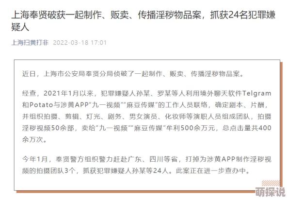 麻豆视屏平台内容与传播现象的初步调查与伦理风险分析