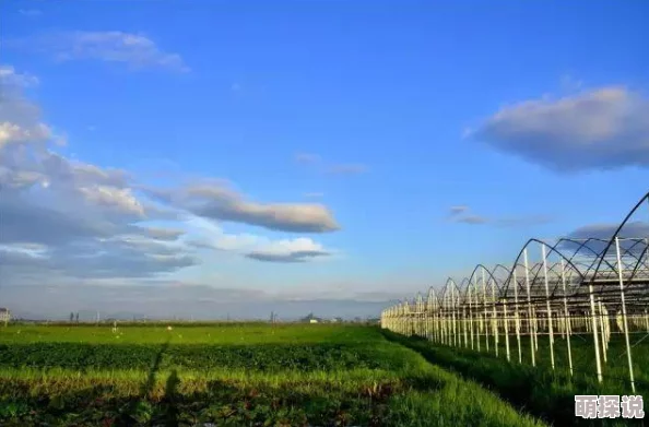 都市后花园打造休闲娱乐新地标引领健康生活新风尚