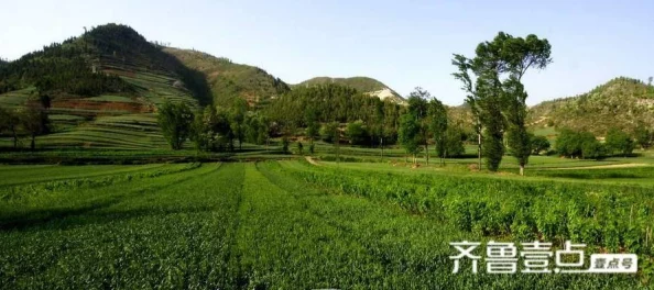 香蕉久久网新鲜水果每日上架品种齐全价格优惠 香蕉久久网新鲜水果每日上架品种齐全价格优惠