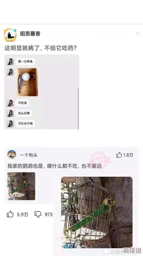 美女张开双腿让男人捅网友：低俗不尊重女性，建议平台加强监管