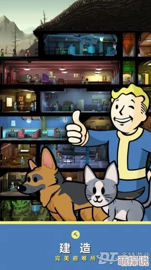 2024辐射避难所高效属性训练技巧与热门策略详解