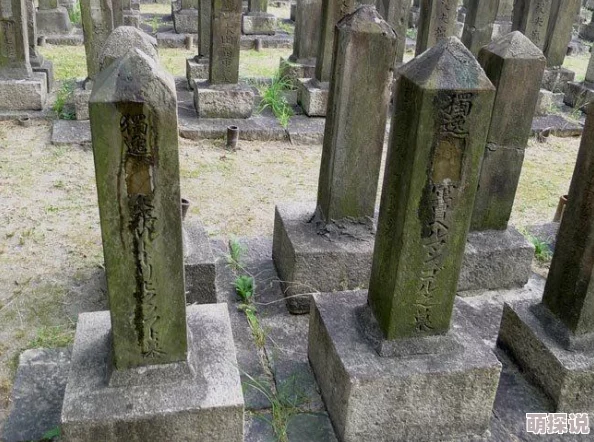 日本精品xxx虚假宣传质量差服务不到位退款难消费者投诉不断