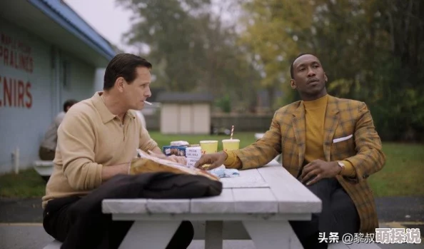绿皮书在线高清完整版免费观看绿皮书GreenBook2018奥斯卡最佳影片现已上线