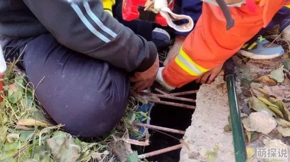 小孩子和邻居姐姐拔钢筋警方已介入调查邻居姐姐已被控制 小孩子和邻居姐姐拔钢筋警方已介入调查邻居姐姐已被控制