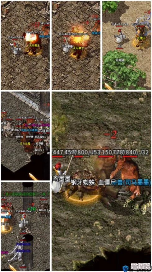 热血传奇手机版：最新热门红野猪屠夫称号详解